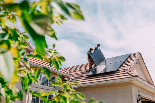 Best Roof Gutter Cleaning  in Crookston, MN