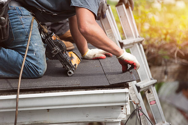 Best Shingle Roofing Installation  in Crookston, MN