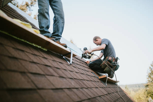 Best Roof Maintenance Services  in Crookston, MN